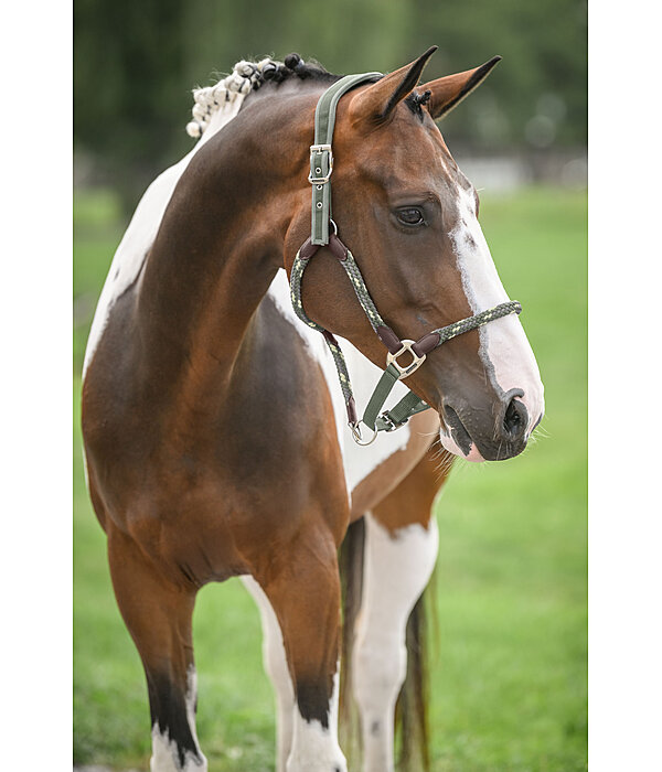 Anatomical Headcollar Sophistication