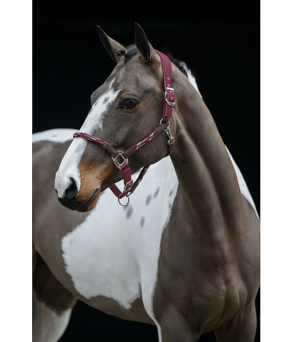 Anatomical Headcollar Sophistication