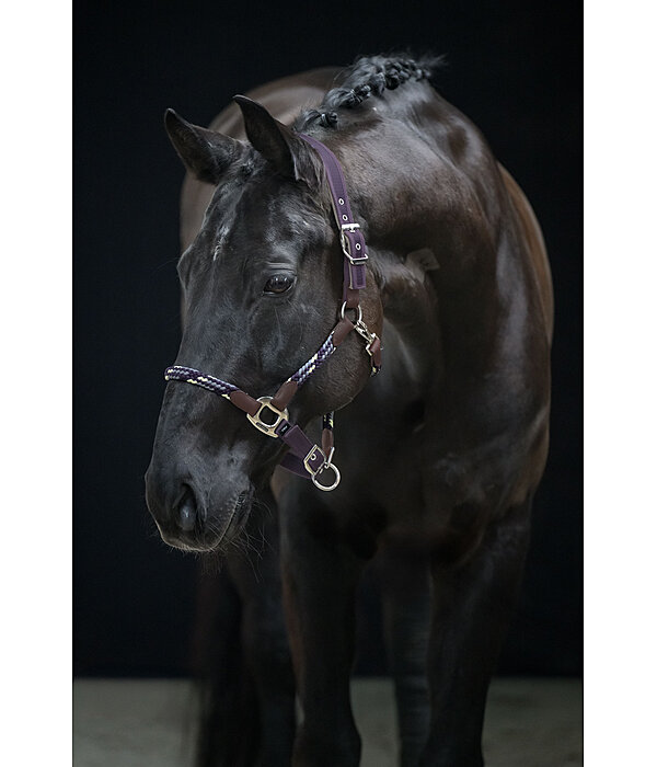 Anatomical Headcollar Sophistication