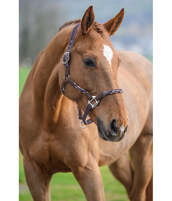 Anatomical Headcollar Sophistication
