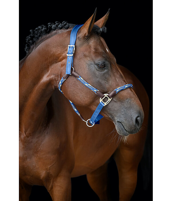 Anatomical Headcollar Sophistication