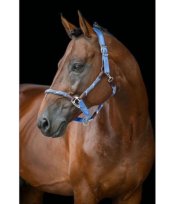 Anatomical Headcollar Sophistication