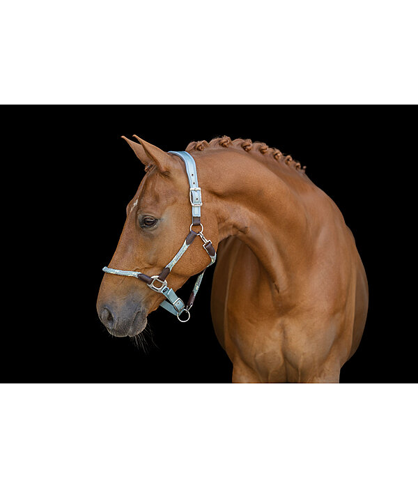 Anatomical Headcollar Sophistication