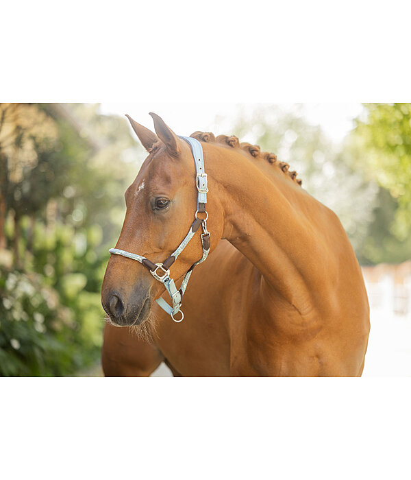Anatomical Headcollar Sophistication