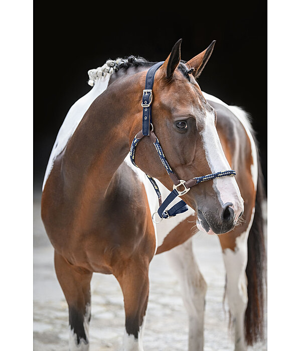 Anatomical Headcollar Sophistication