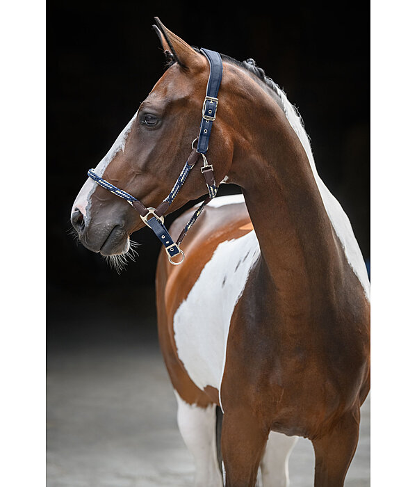 Anatomical Headcollar Sophistication