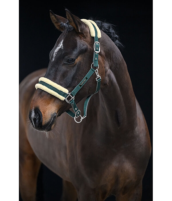 Headcollar Night Sky
