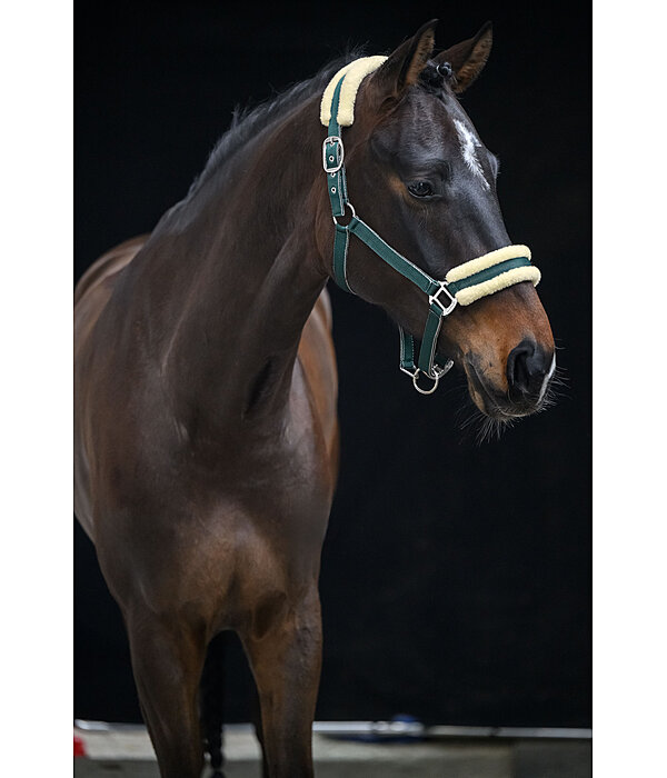 Headcollar Night Sky