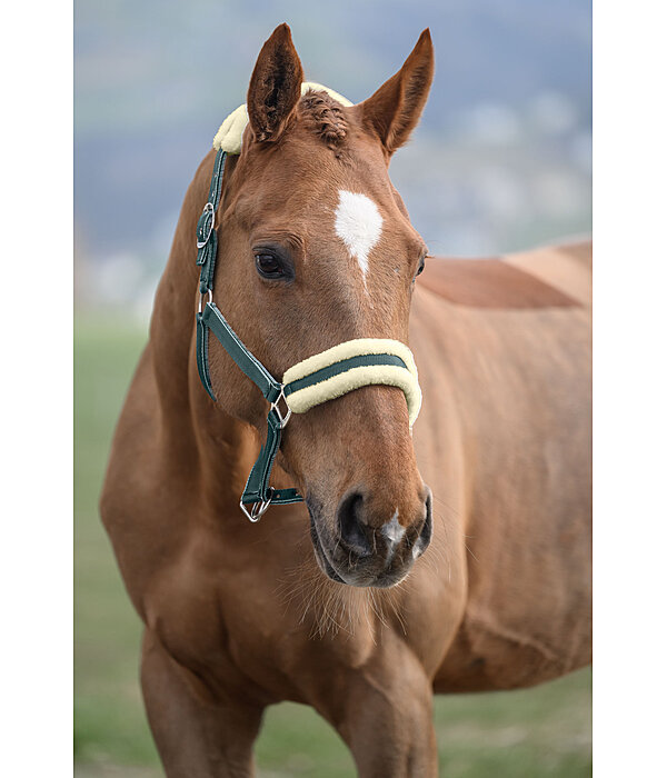 Headcollar Night Sky