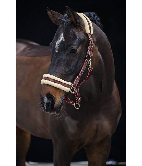 Headcollar Night Sky