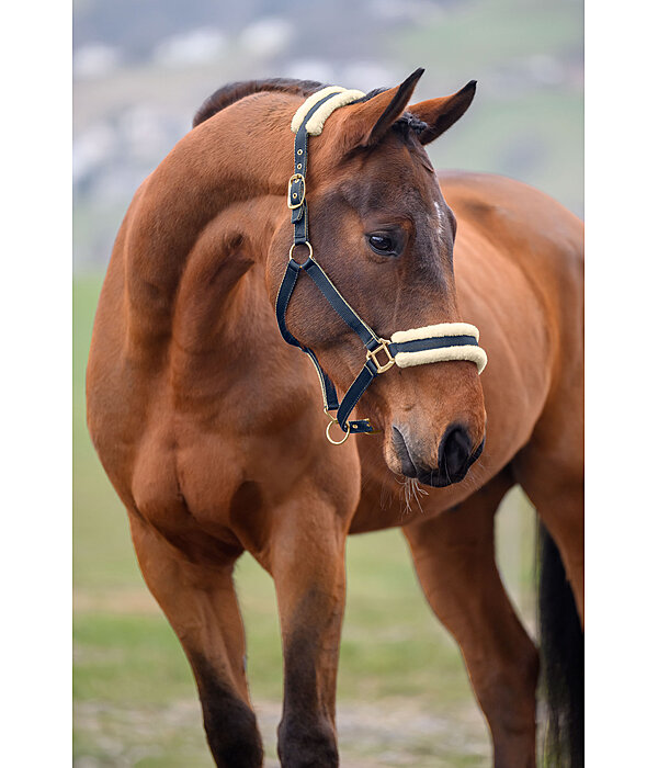 Headcollar Night Sky