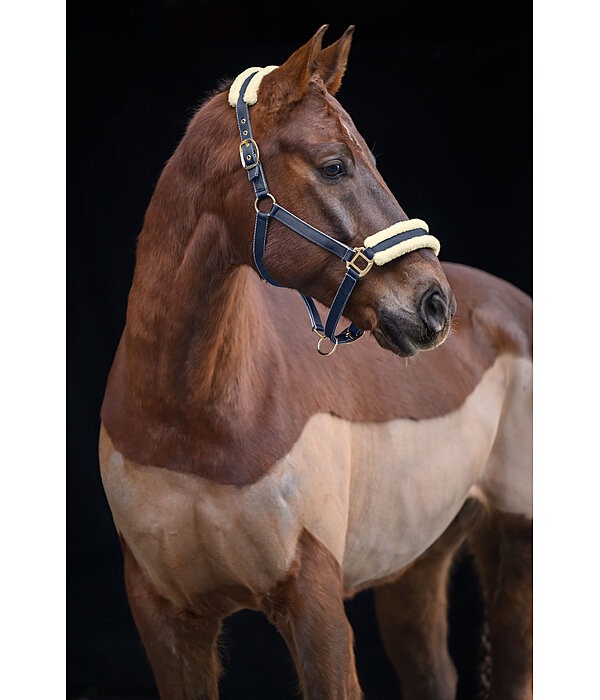 Headcollar Night Sky
