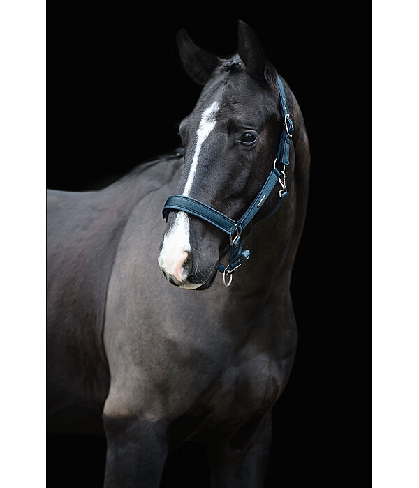 Headcollar Glitter