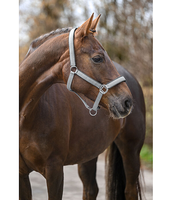 Headcollar Glitter