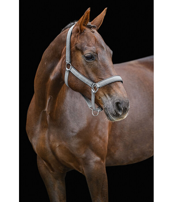 Headcollar Glitter