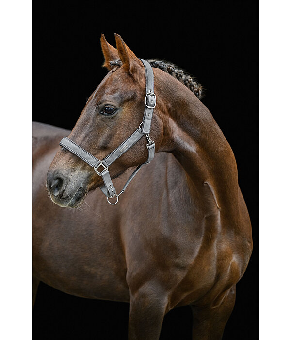 Headcollar Glitter