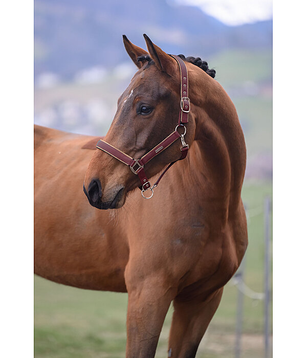 Headcollar Glitter