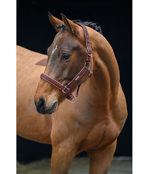 Headcollar Glitter