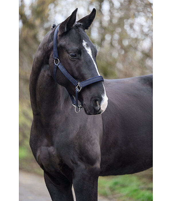 Headcollar Glitter