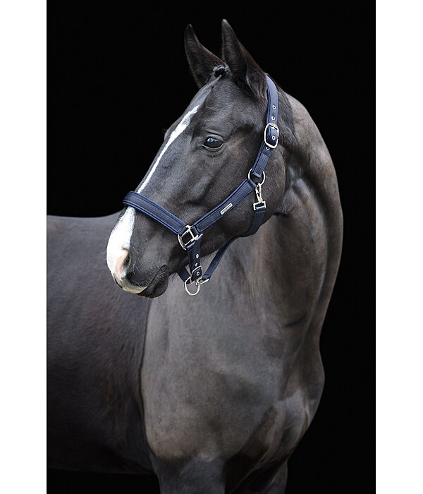 Headcollar Glitter