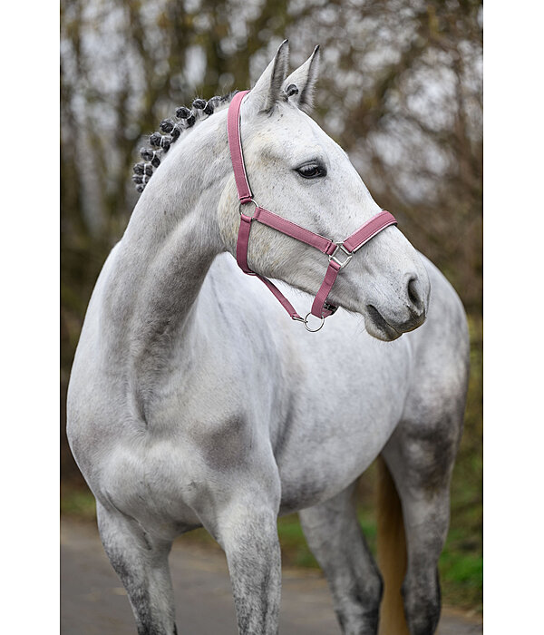Headcollar Glitter