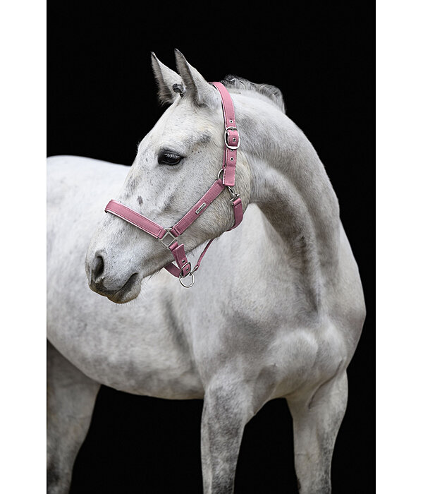 Headcollar Glitter