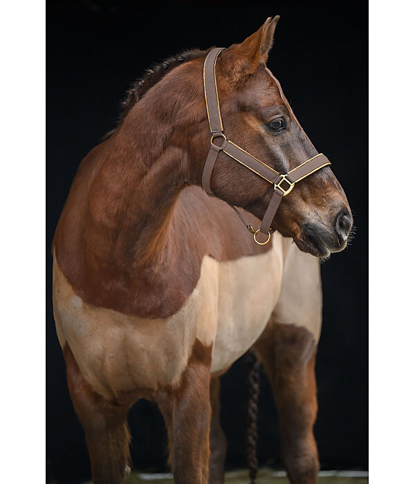 Headcollar Glitter