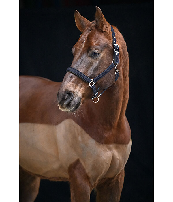 Headcollar Signature II