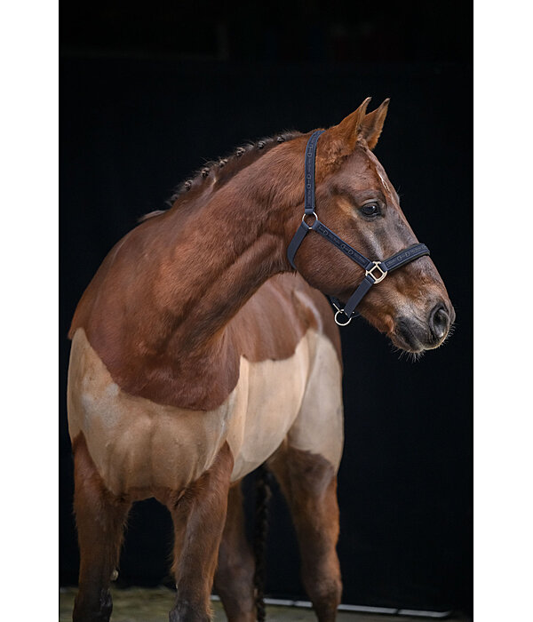 Headcollar Signature II