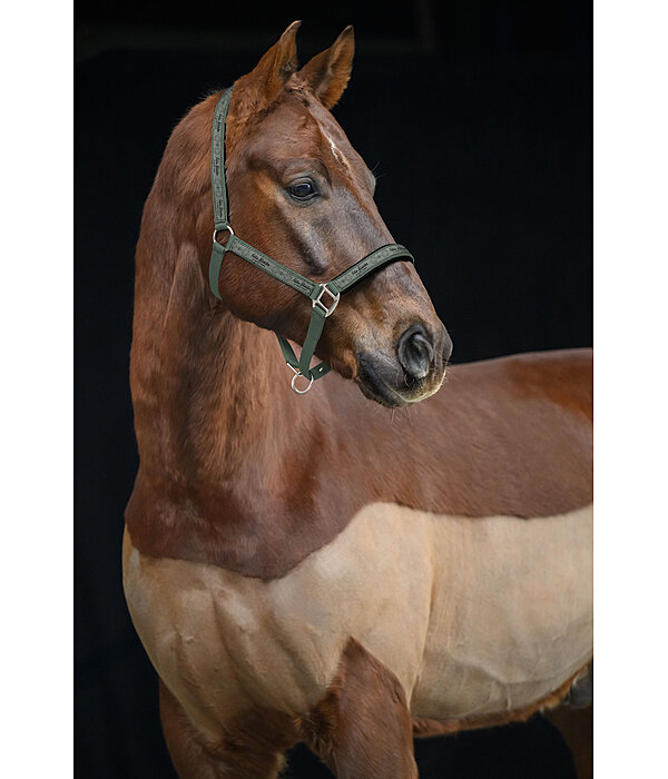 Headcollar Signature II