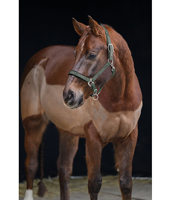 Headcollar Signature II