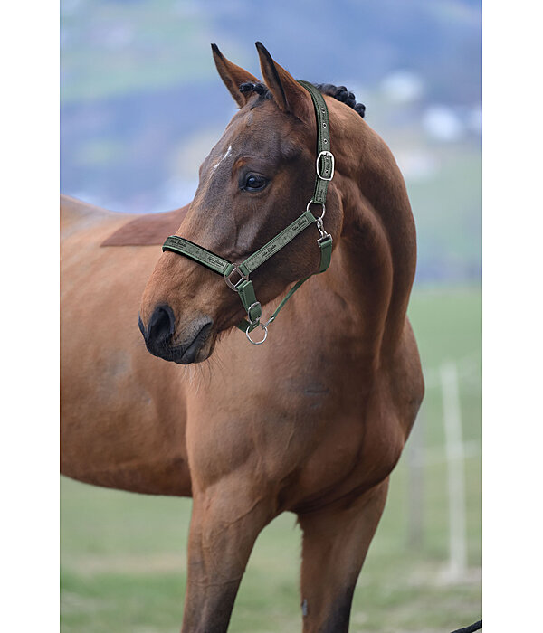 Headcollar Signature II