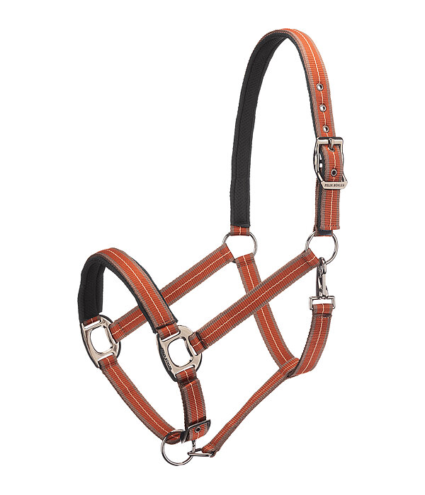 Headcollar Swiss Design II