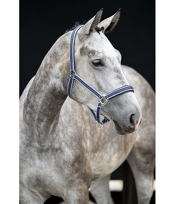 Headcollar Swiss Design II