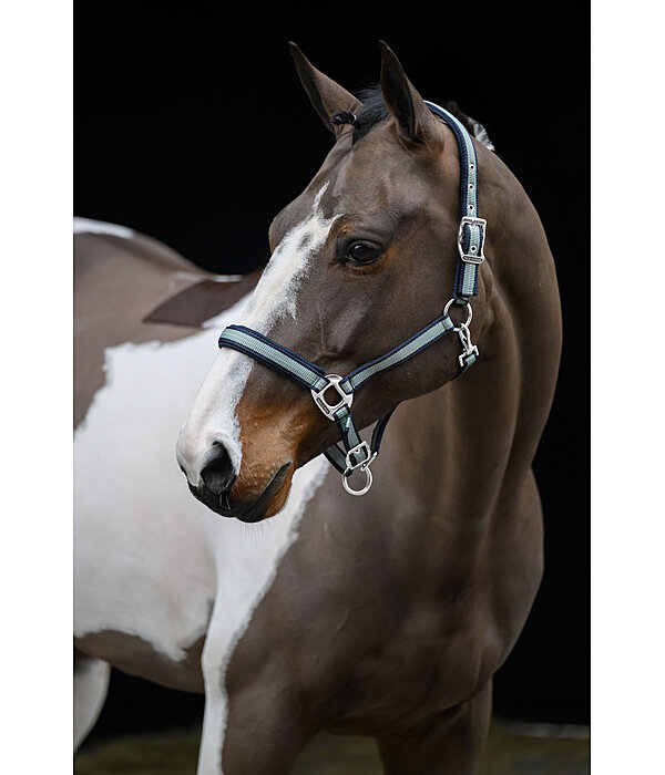 Headcollar Swiss Design II