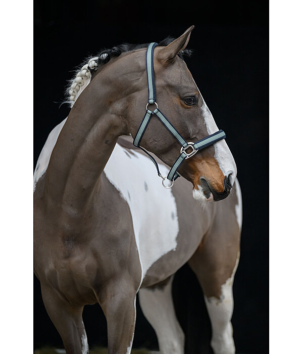 Headcollar Swiss Design II