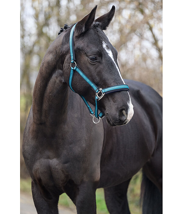 Headcollar Swiss Design II