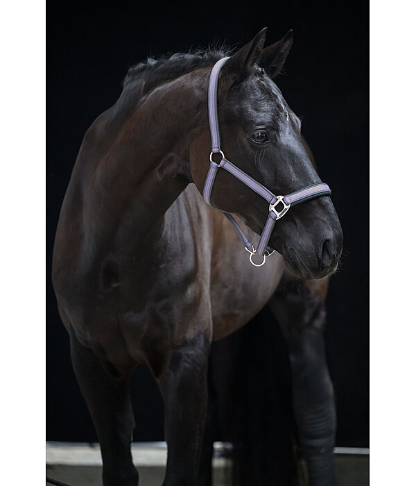 Headcollar Swiss Design II