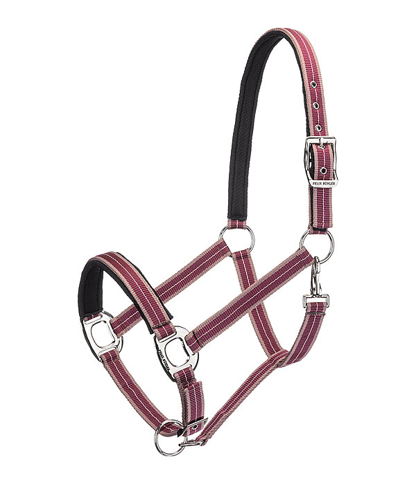 Headcollar Swiss Design II