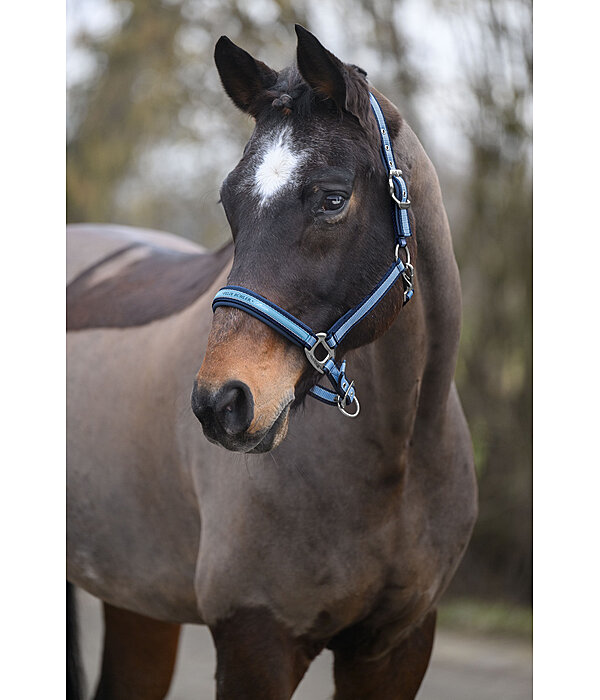 Headcollar Essential II