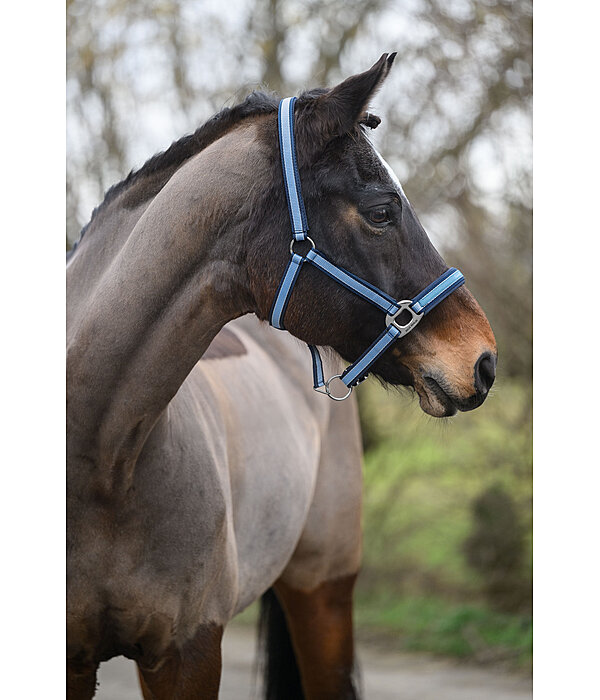 Headcollar Essential II
