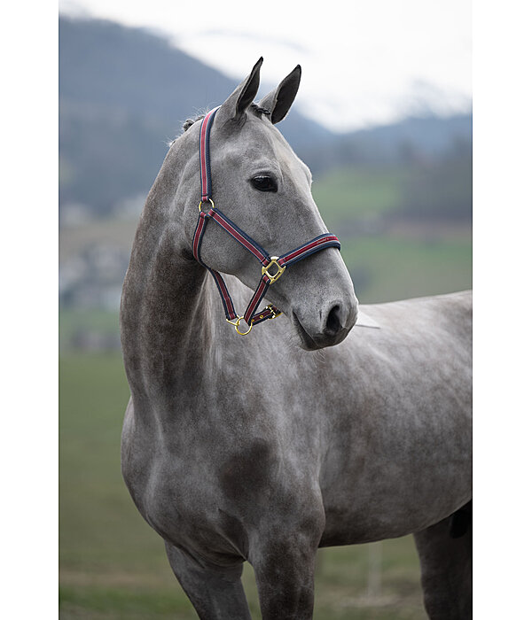 Headcollar Essential II