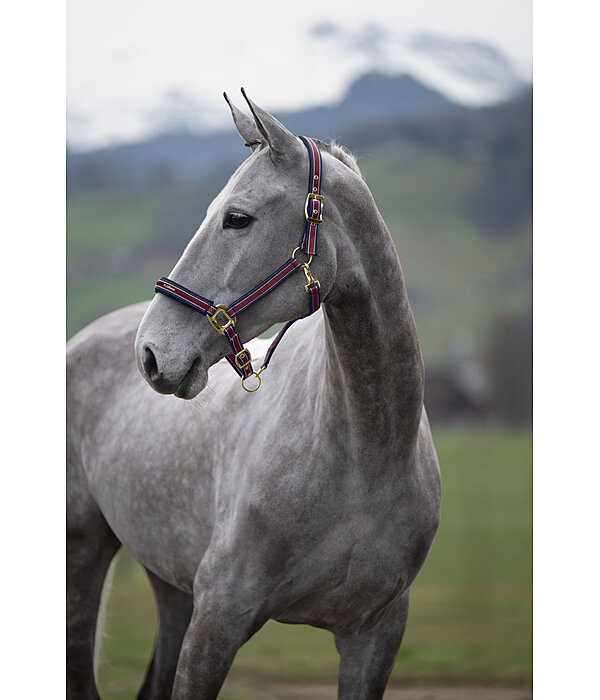 Headcollar Essential II