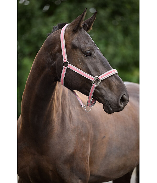 Headcollar Essential II
