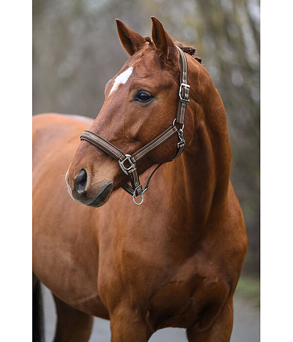Headcollar Essential II