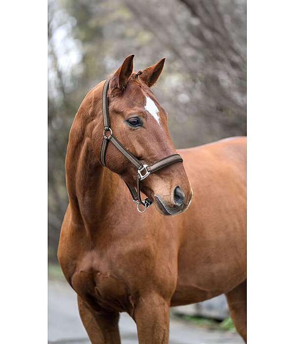 Headcollar Essential II