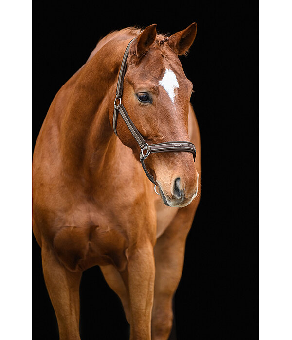 Headcollar Essential II