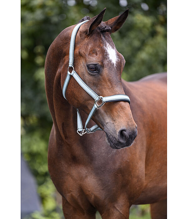 Headcollar Essential II