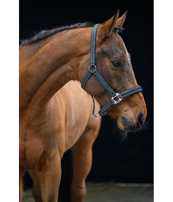Headcollar Essential II