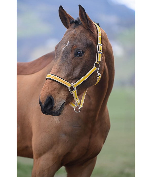 Headcollar Essential II